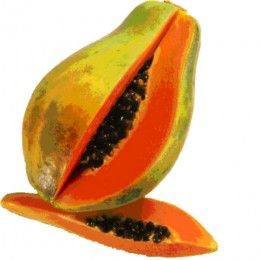 Pawpaw 1pc