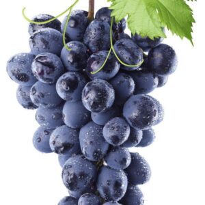 Grapes Black seedless (punnet)