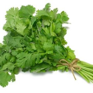 Coriander (bunch)